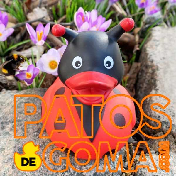 pato de goma mariquita